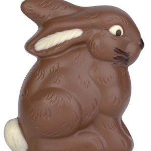 Chocolate World Hollow Figure Moulds - HB406B1 - Sitting Rabbit + Floppy Ear 100mm - 100xN/AxN/Amm