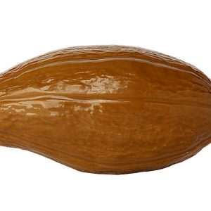 Hans Brunner Spinning-Moulds - Cacao pod