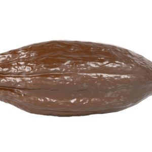 Hans Brunner Hand-Moulds - Cacao pod - HB-8178-PC - Dimensions: Length: 237 mm